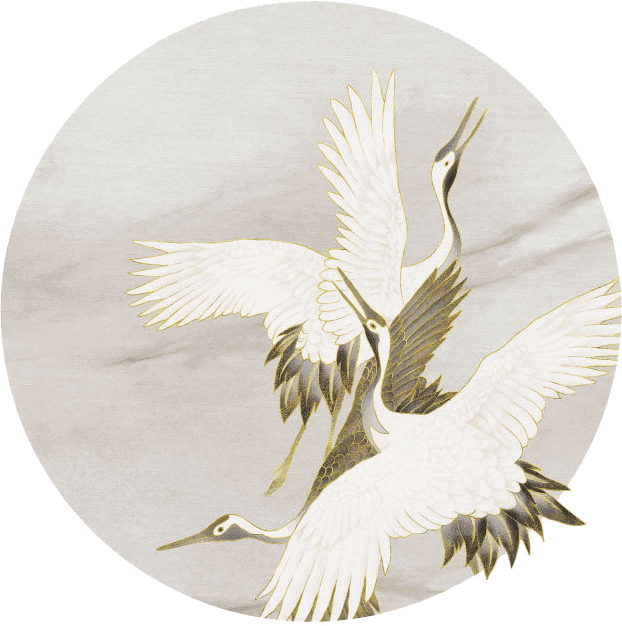 Ivory Tsuru kolo wymiarowanie