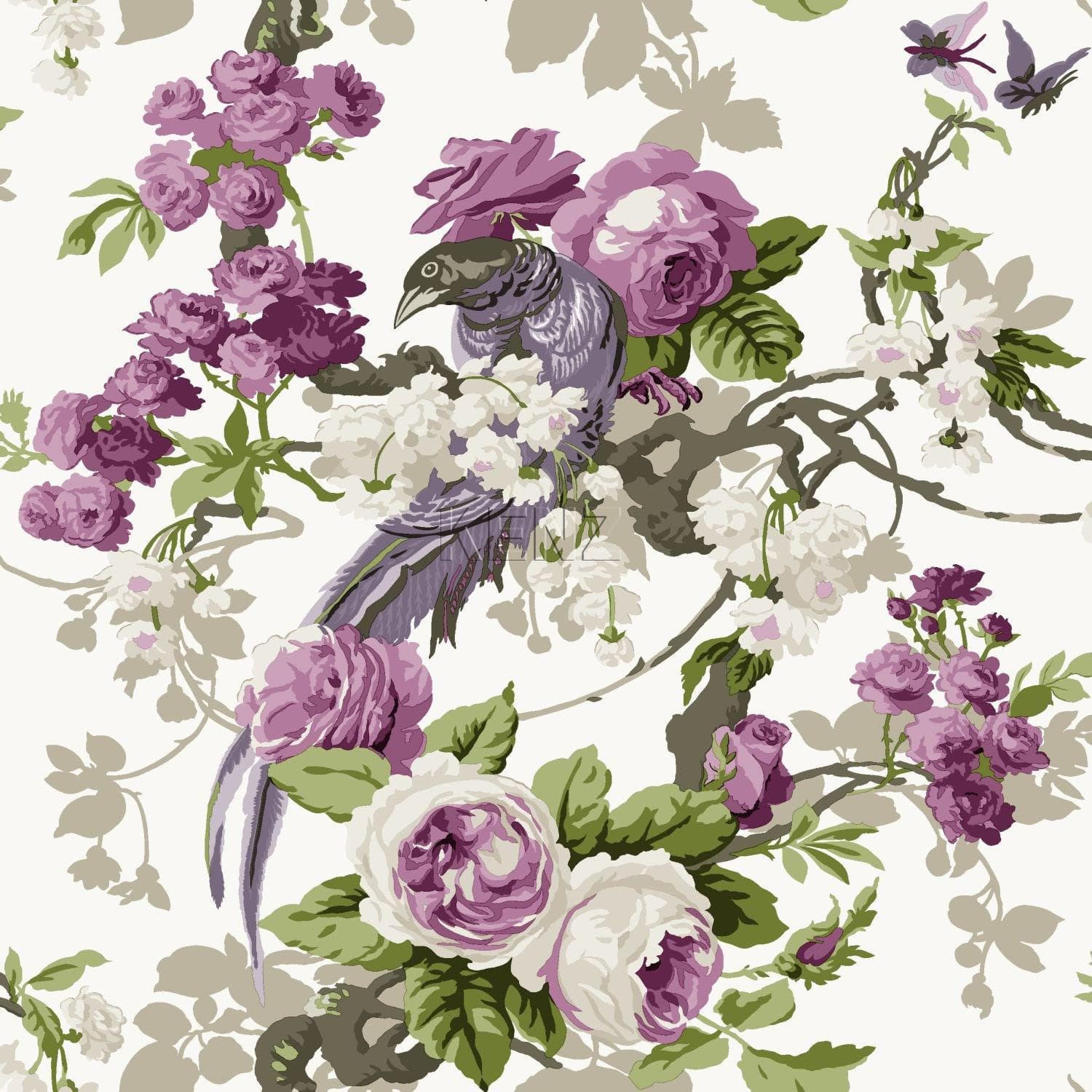 wallpaper birds of paradise purple 326152