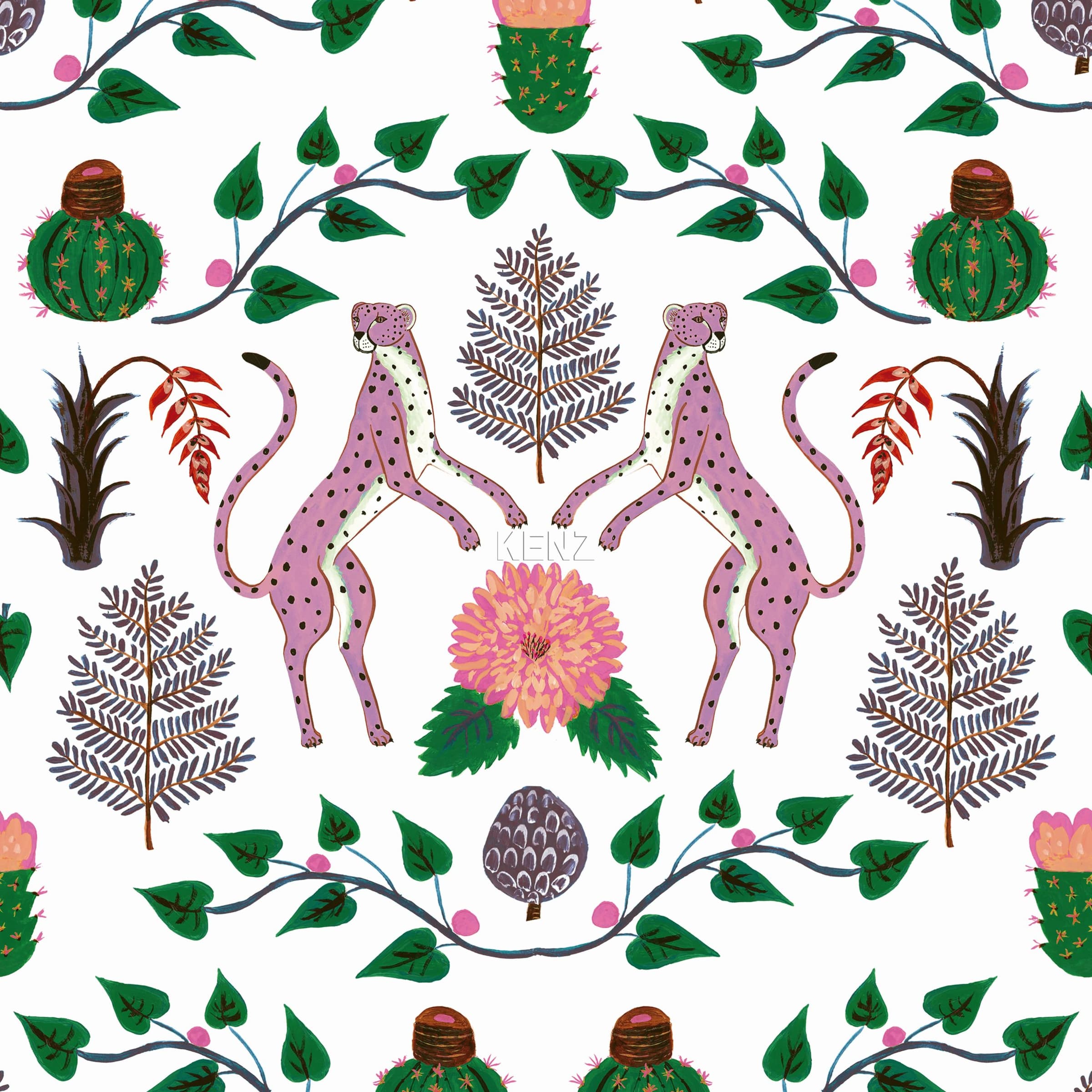 Cheetahs Rosa