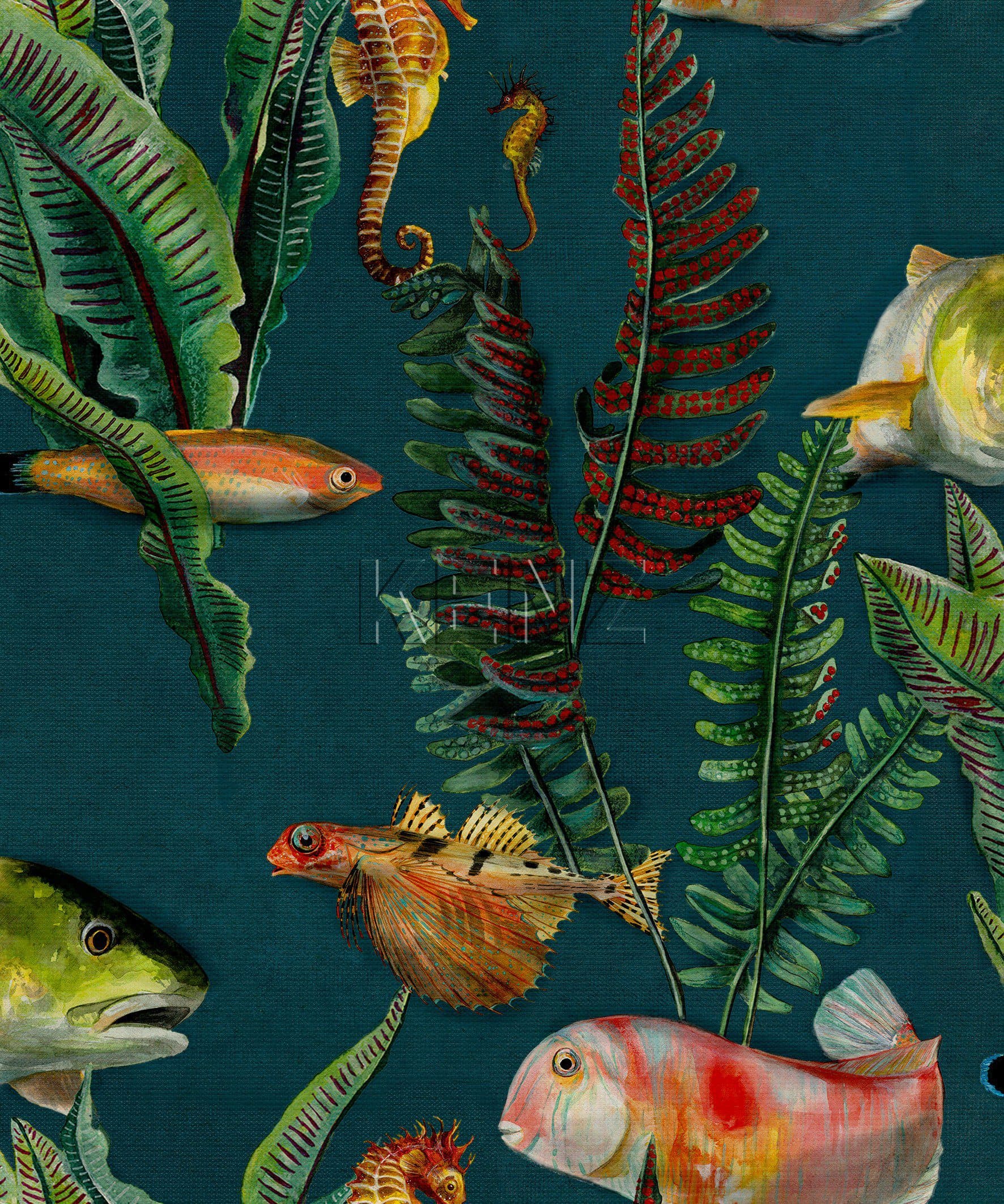Bank of Fish Lagoon