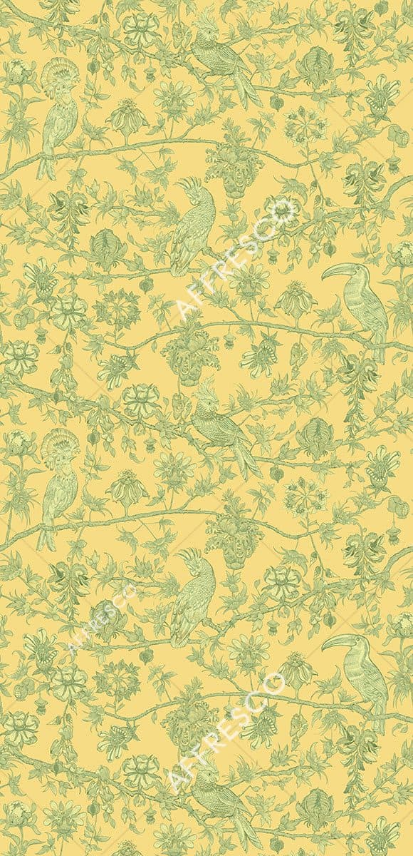 OFA1122-COL6