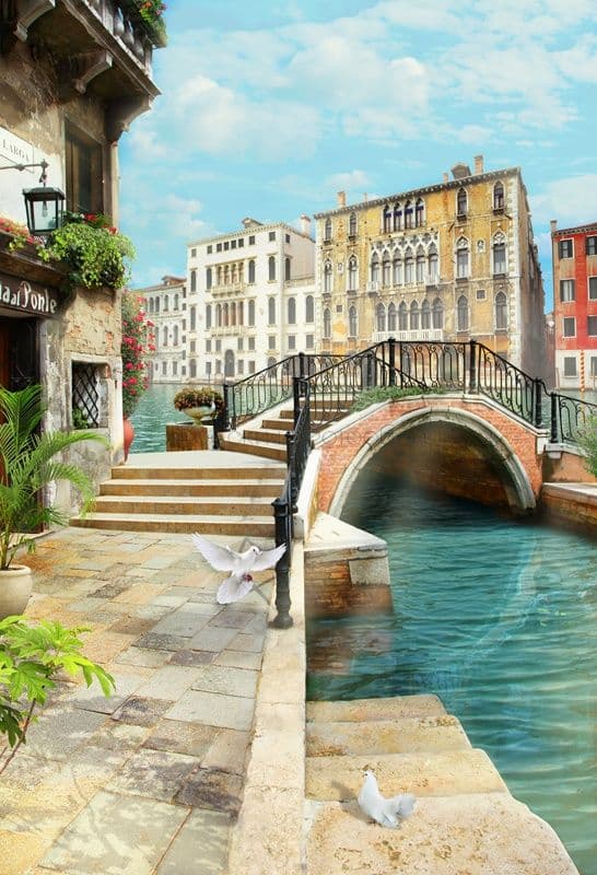 Pegeons In Venice