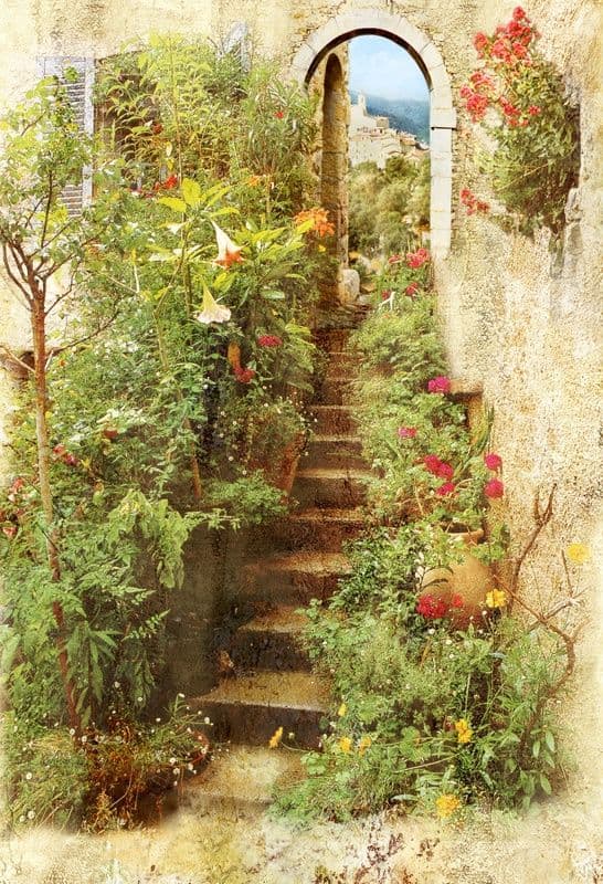 Arch In A House