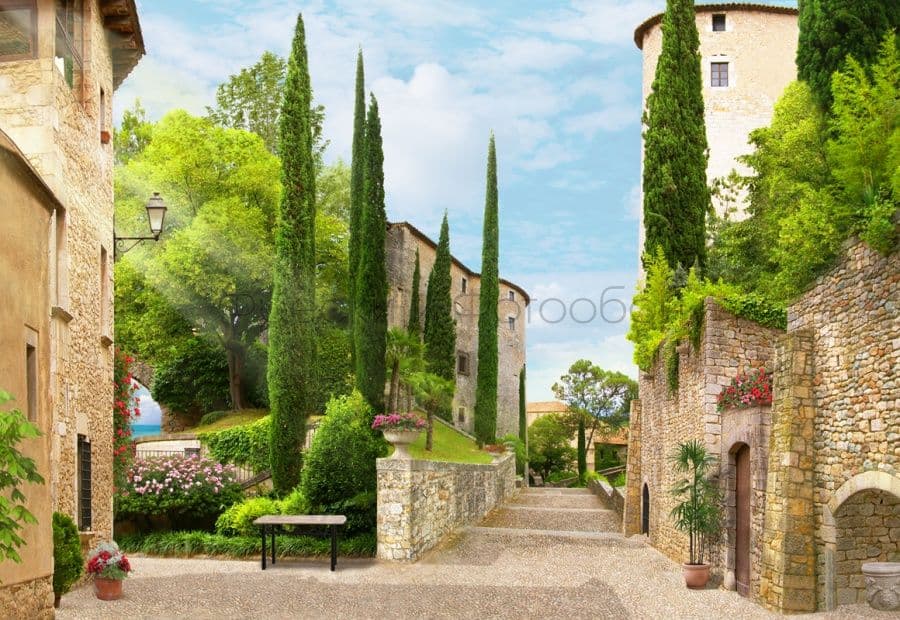 Street With Cypress