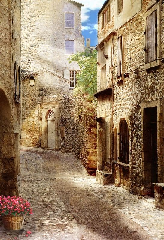 Bystreet With Houses