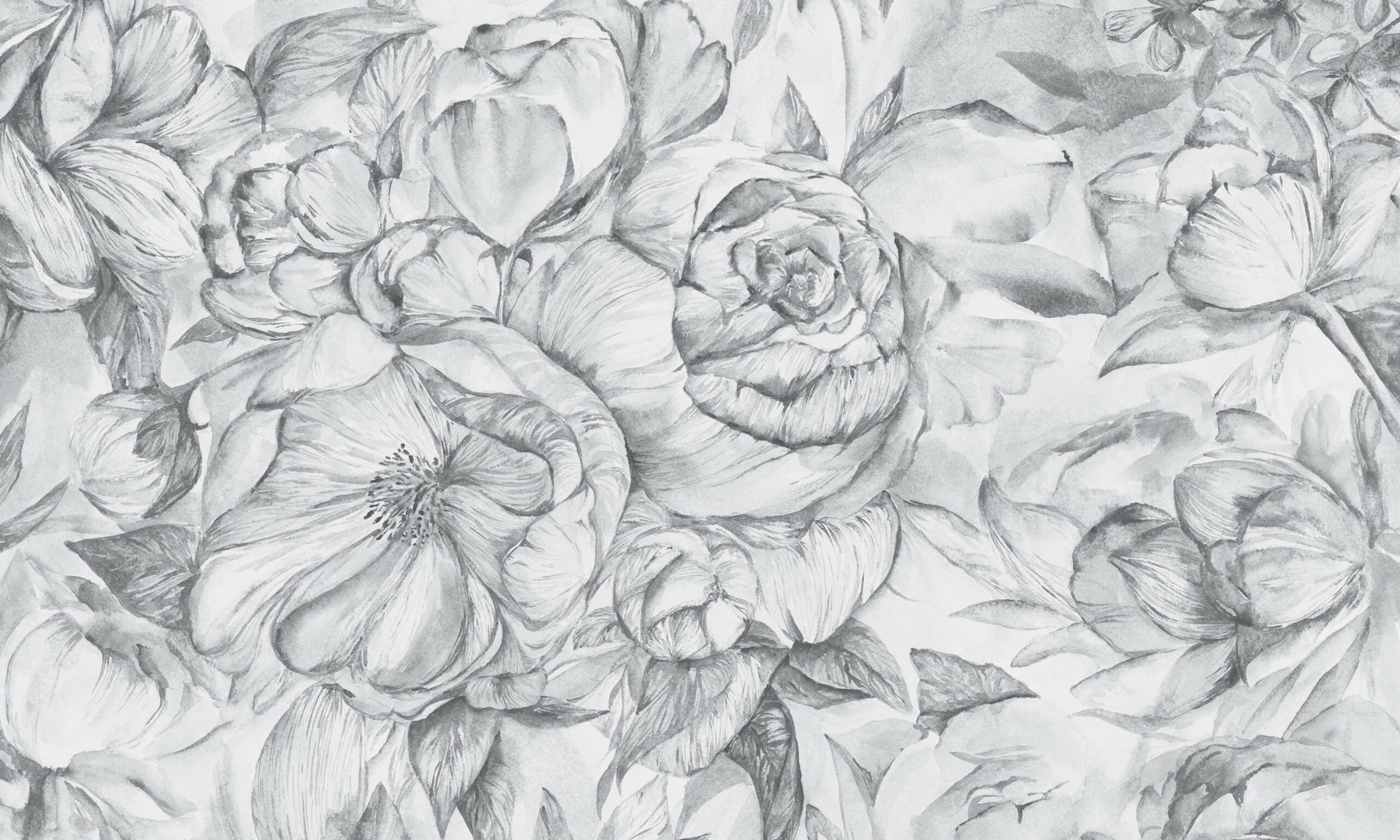 Brassica Light
