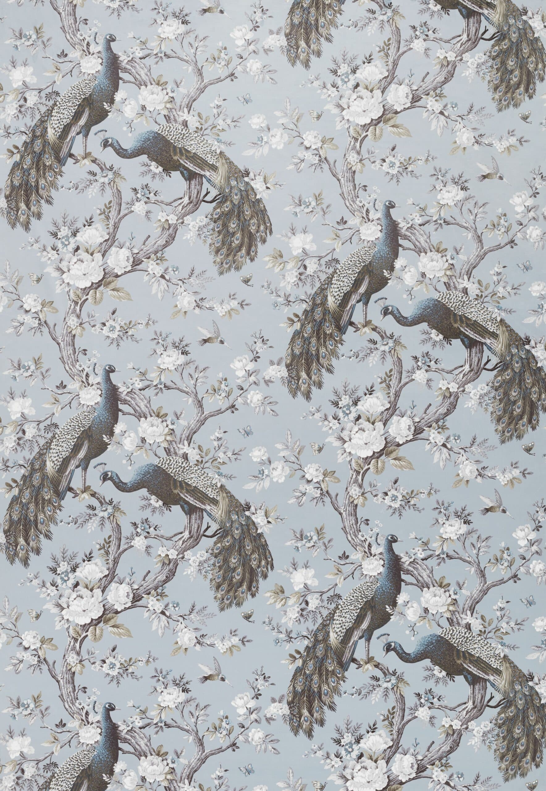 Belvedere Velvet