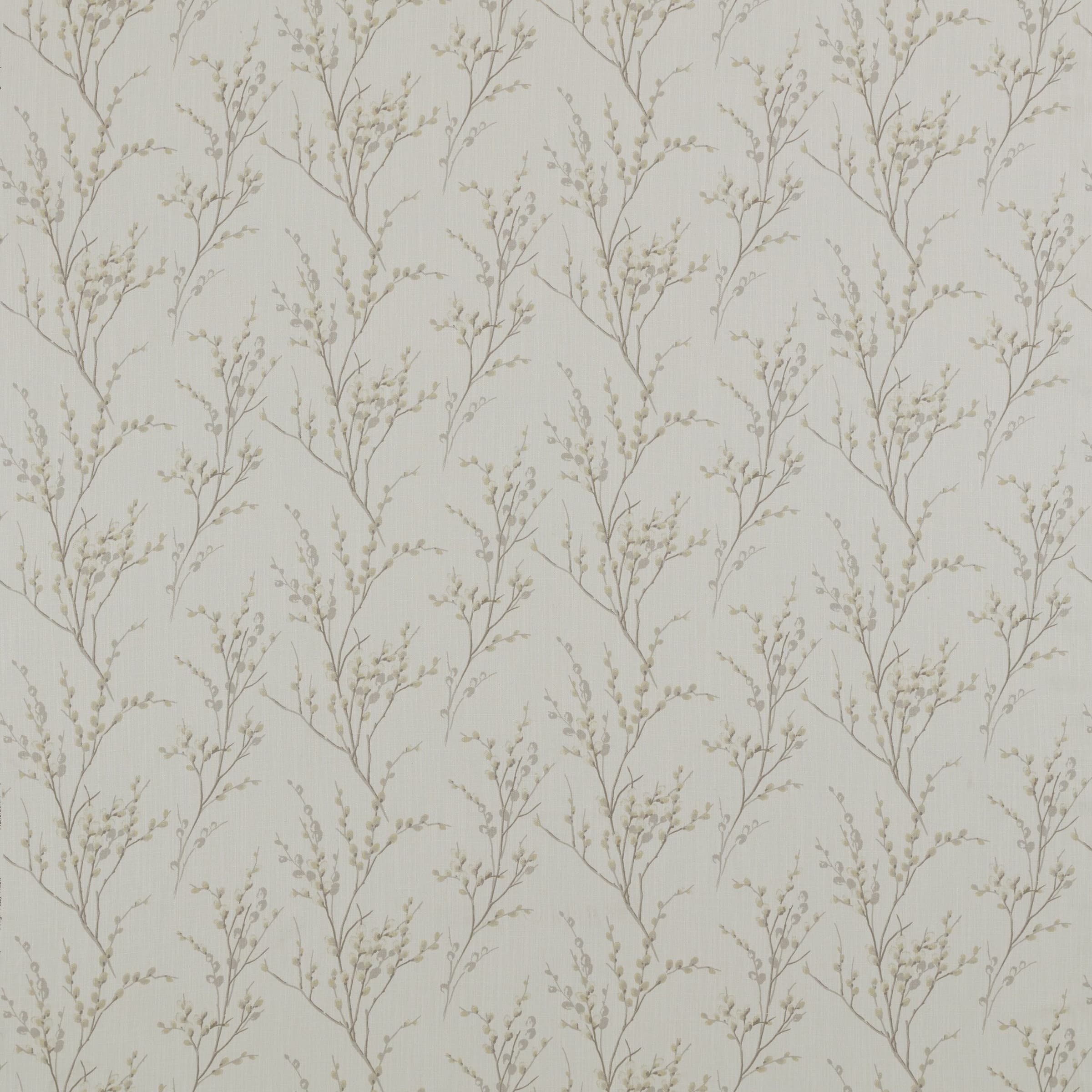 Pussywillow
