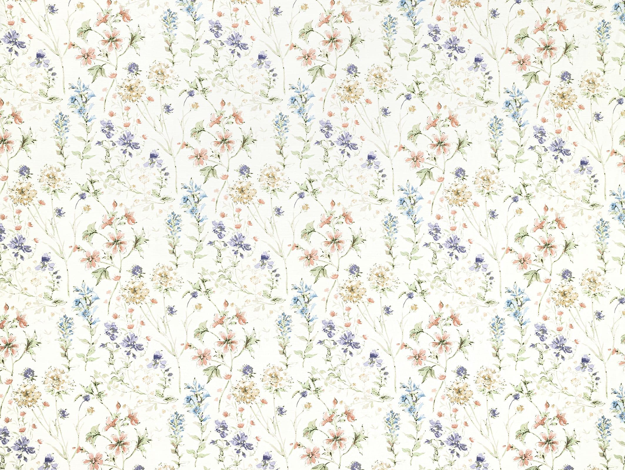 Wild Meadow
