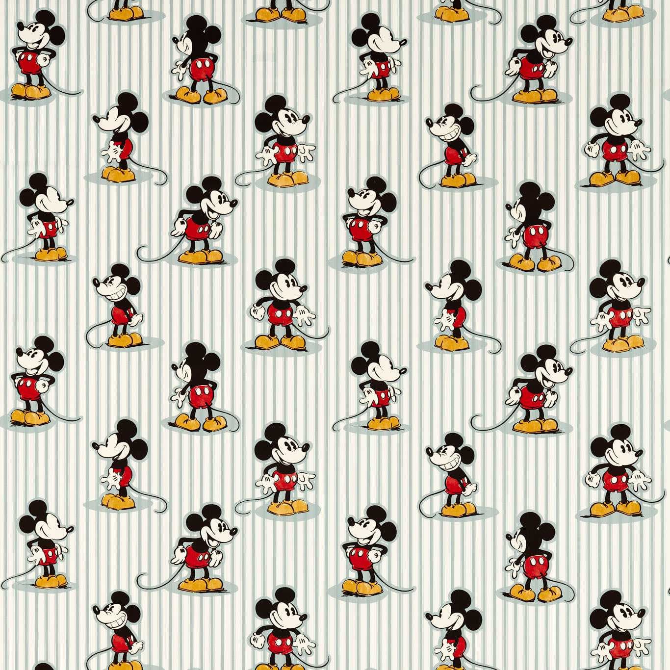 Mickey Stripe