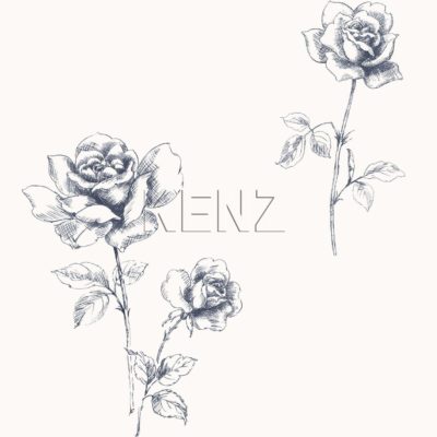 wallpaper roses blue 127610