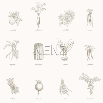 wallpaper vegetables beige 127613