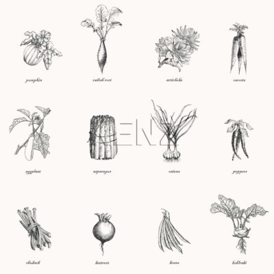 wallpaper vegetables black and white 127614