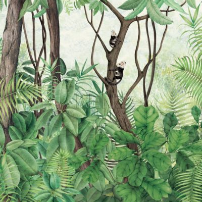 Casa de Vidro -  9000050